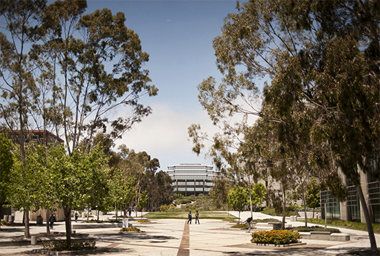 Approach to UCSD Library
